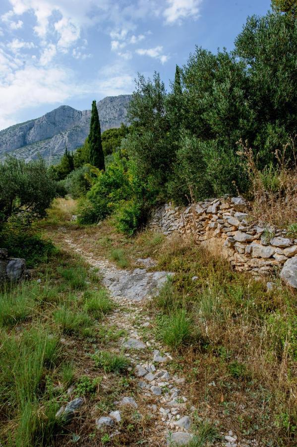 Pension Maric Rooms Brist Εξωτερικό φωτογραφία